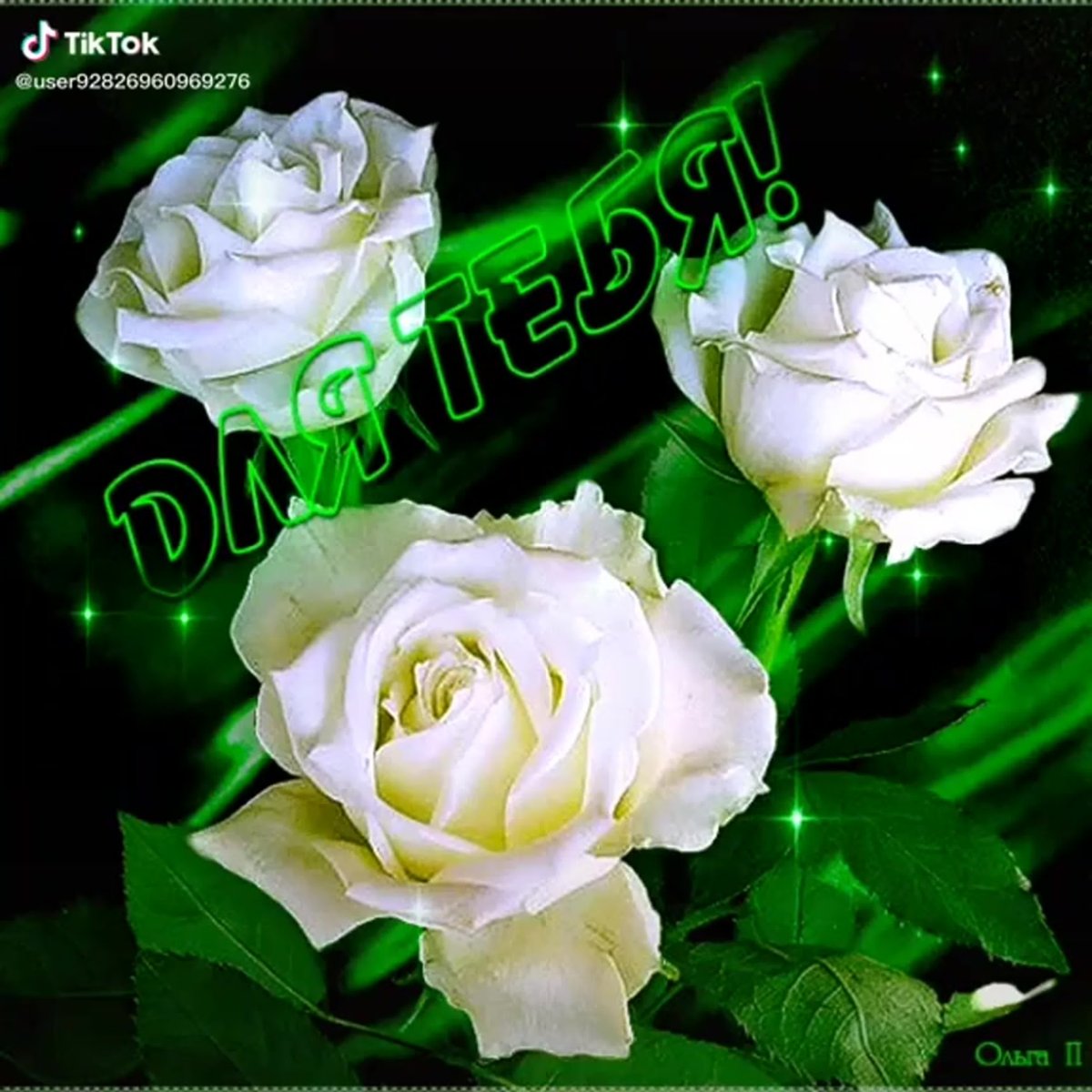 Белые мерцающие розы