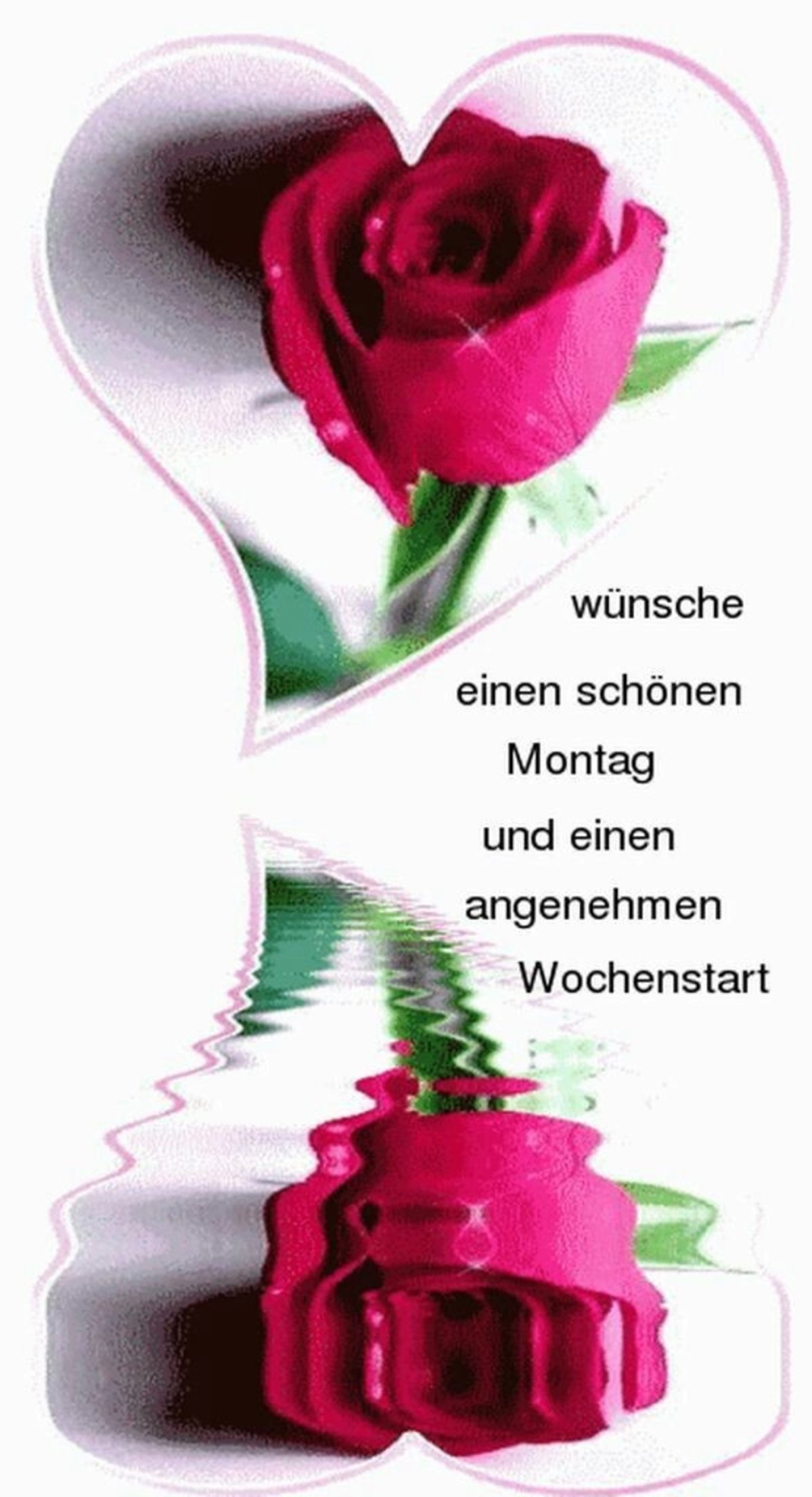 Цветы анимация