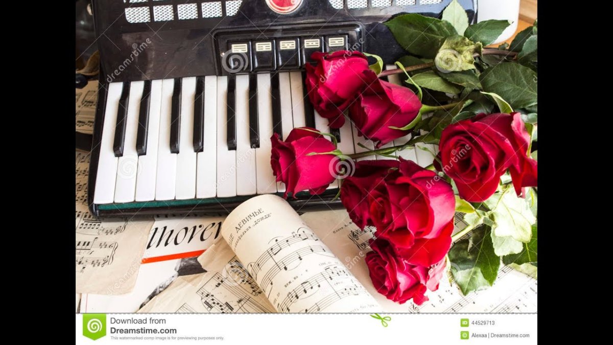 Аккордеон и розы