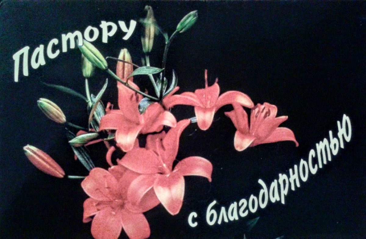 День благодарности пастору