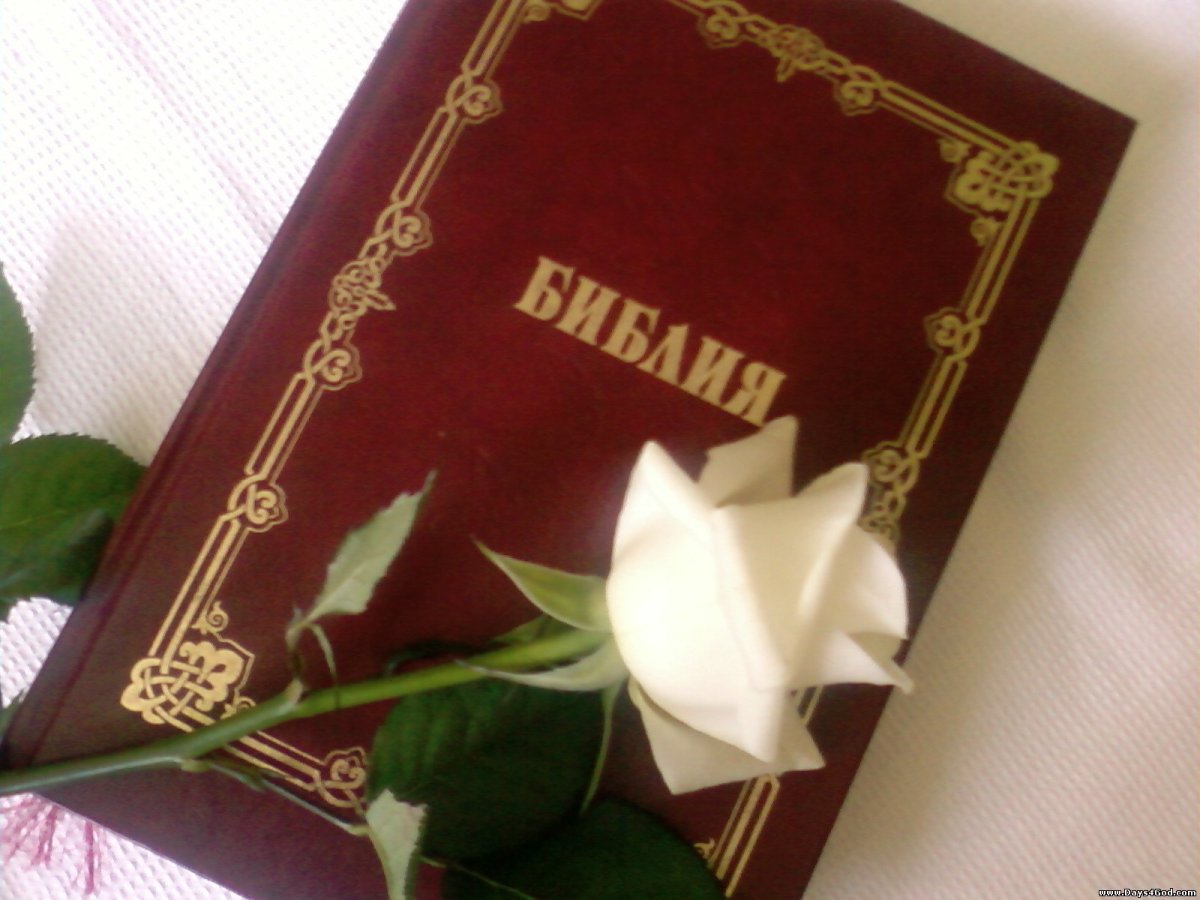 Пожелание пастору из Библии