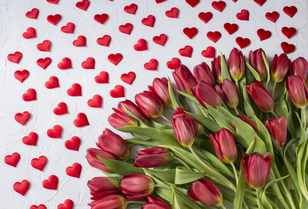 Сердце из тюльпанов