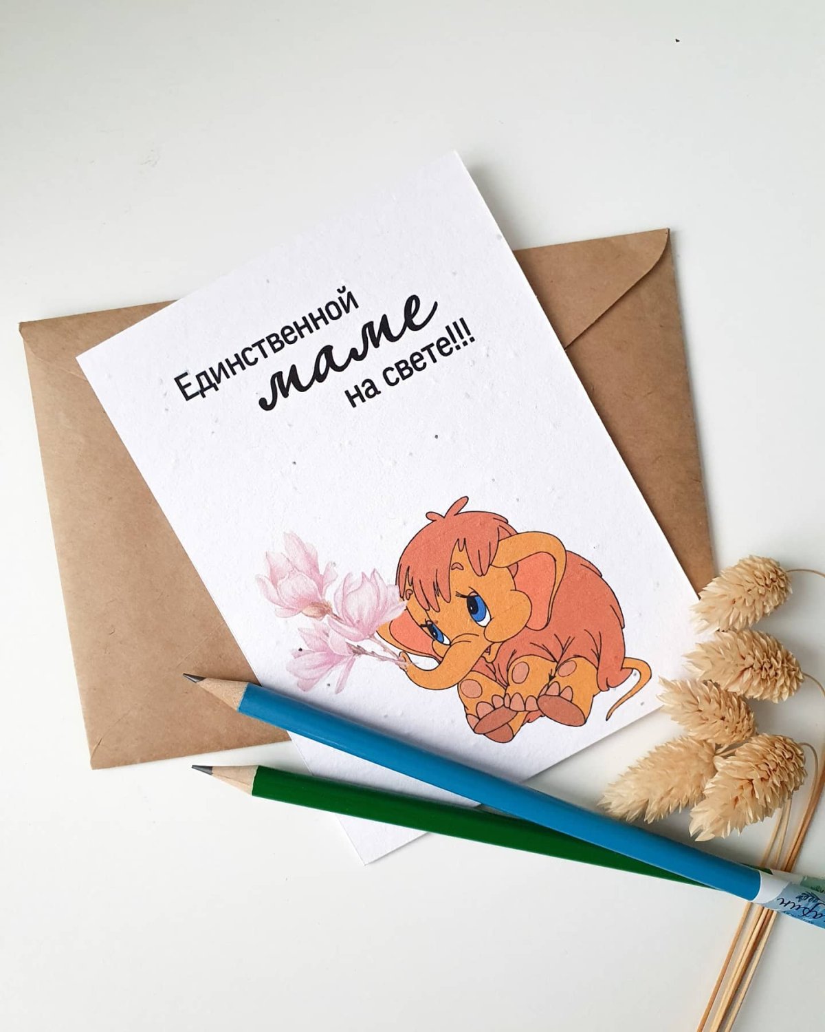 Подпись единственной маме на свете