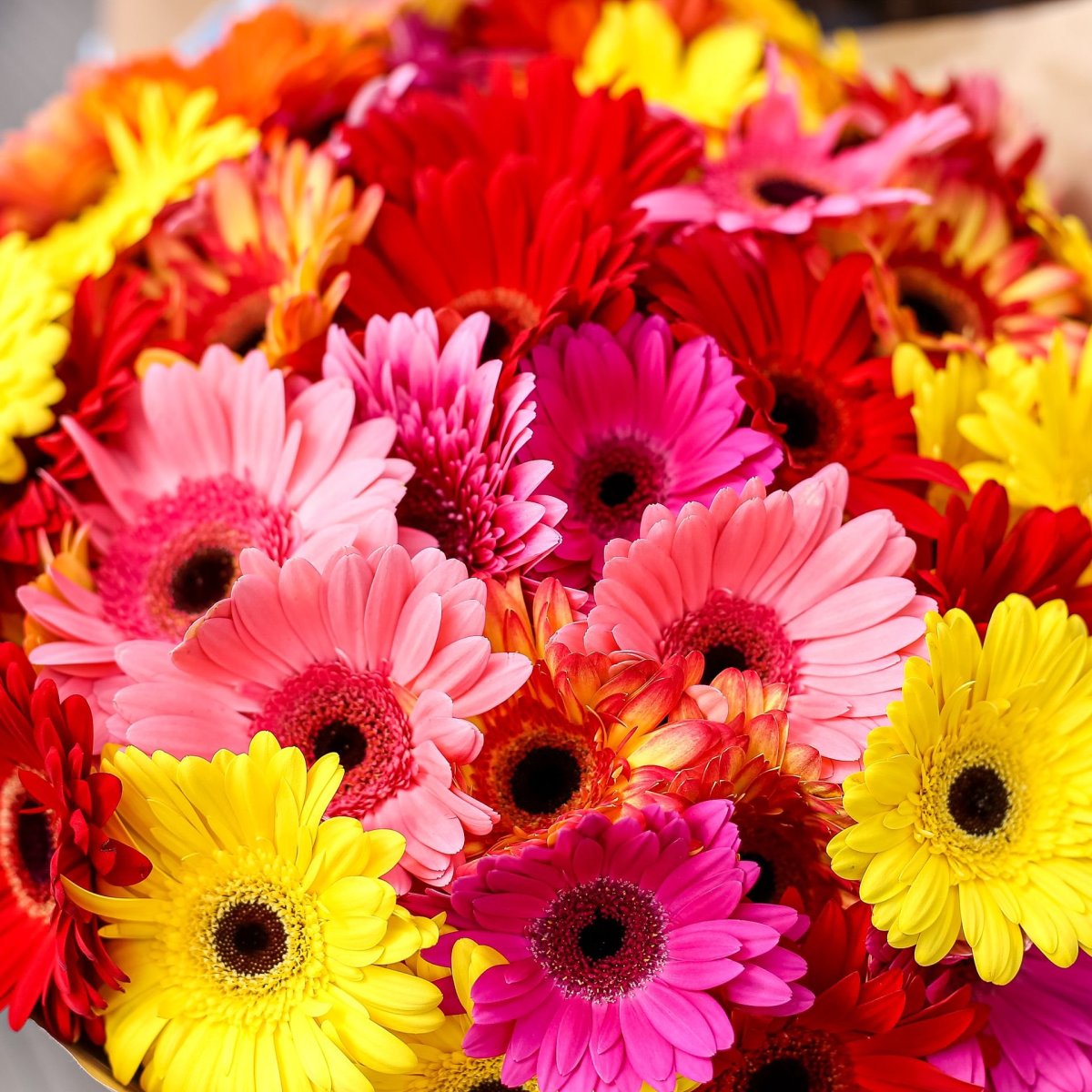 Букет гербер открытка