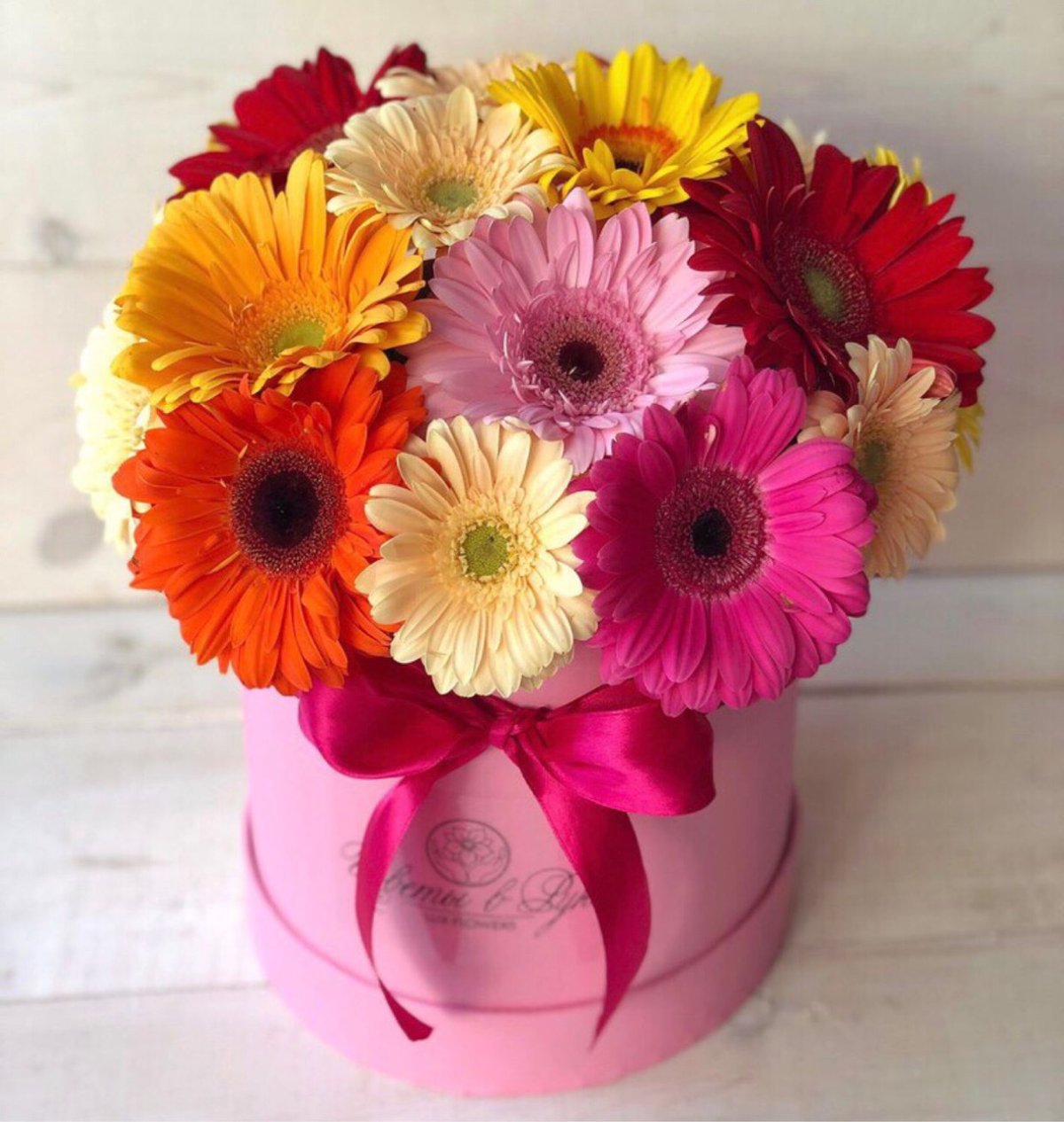 Герберы в ведре