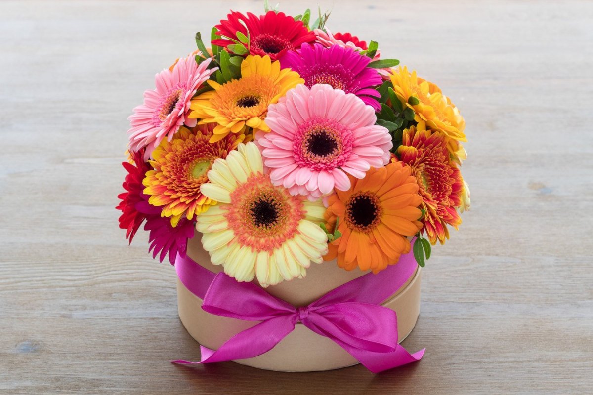 Шляпная коробка Диантус, Гербера