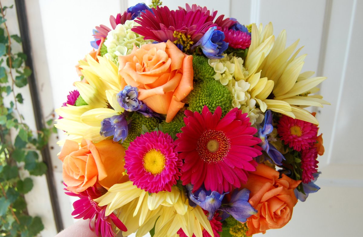 Самый красивый букет гербер