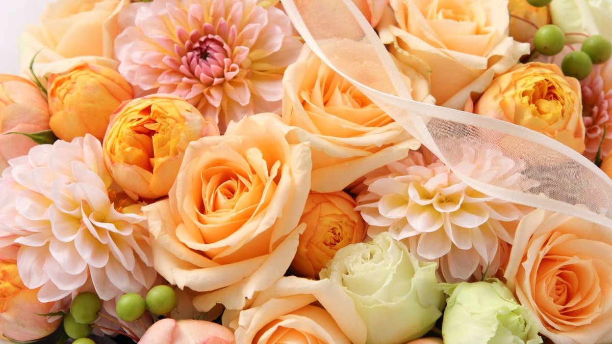 Роза персиковая