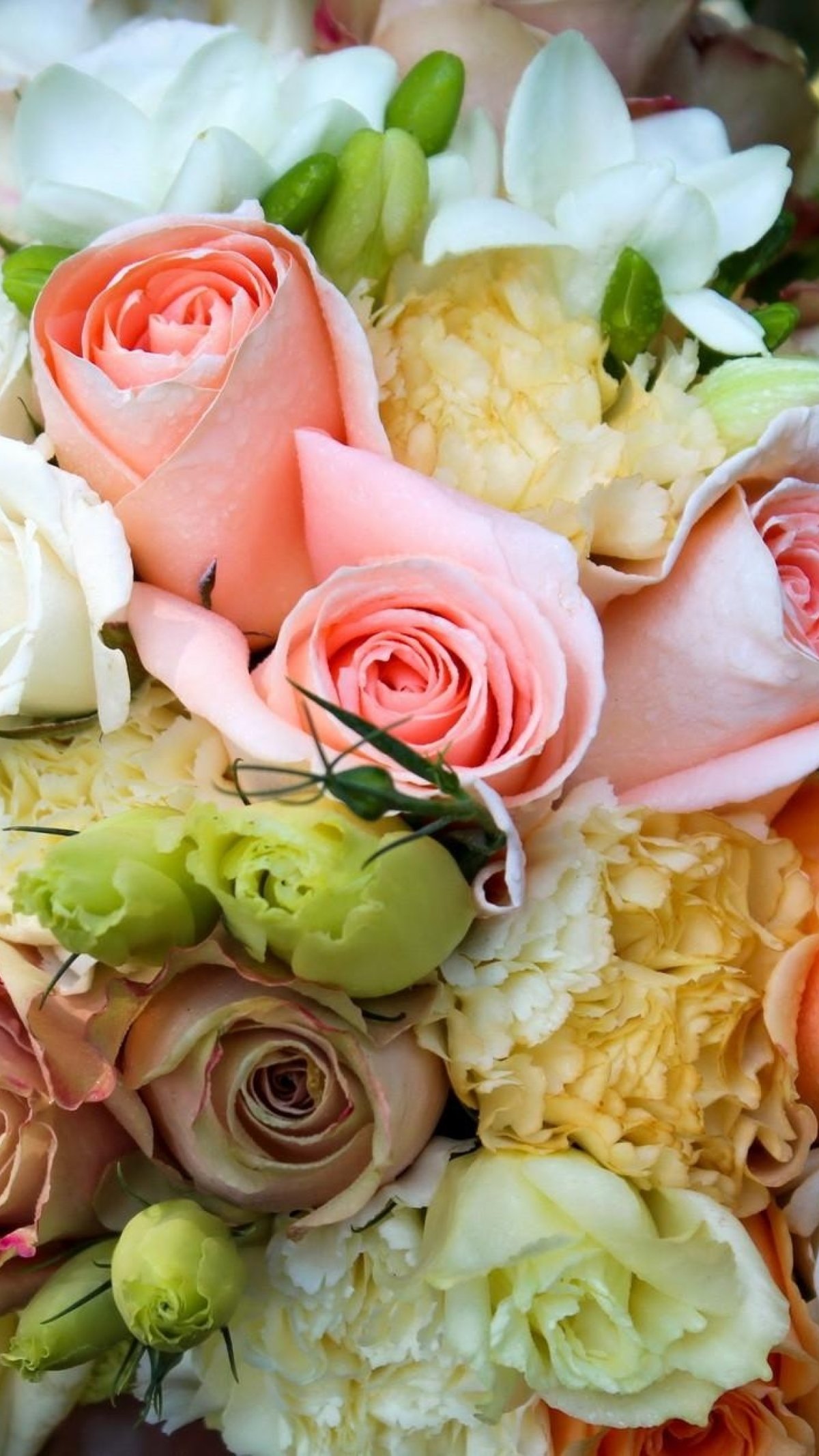 Букеты на заставку