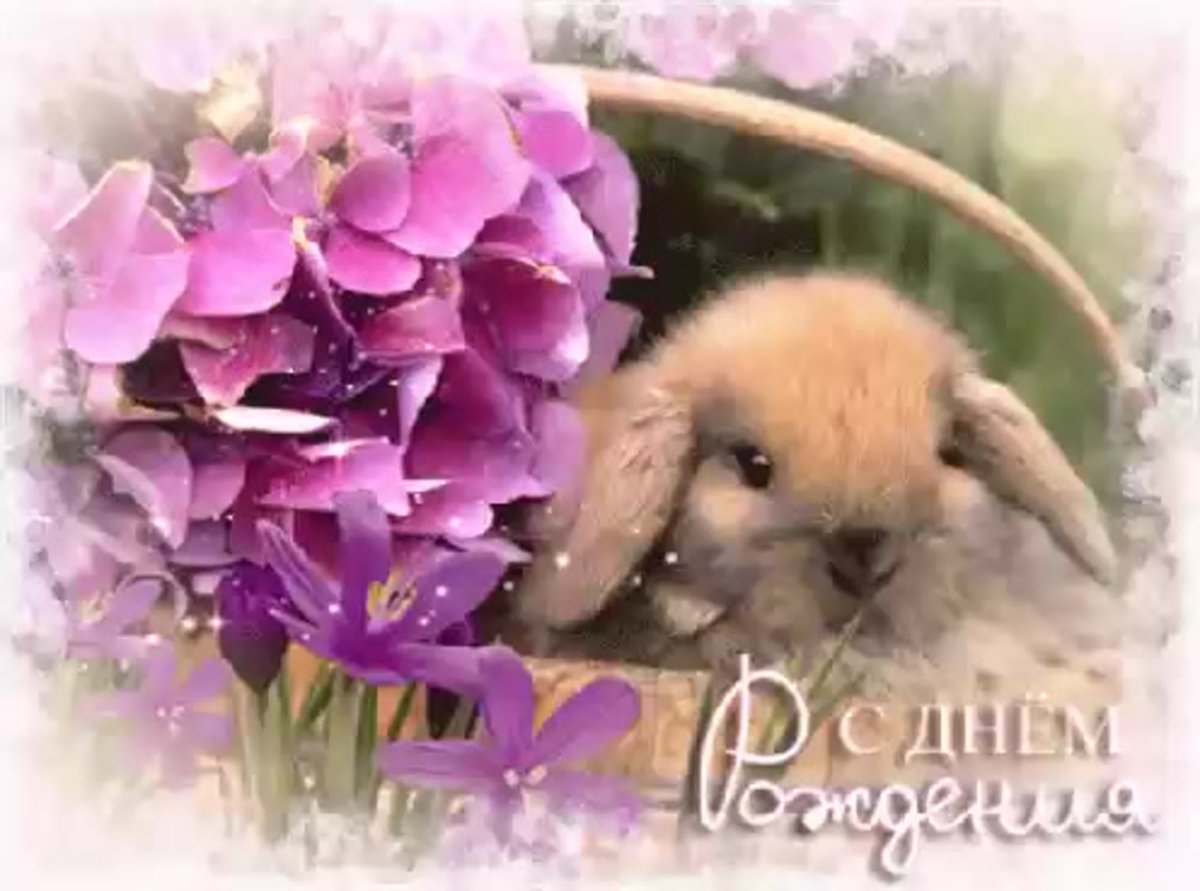 С днём рождения мальчику