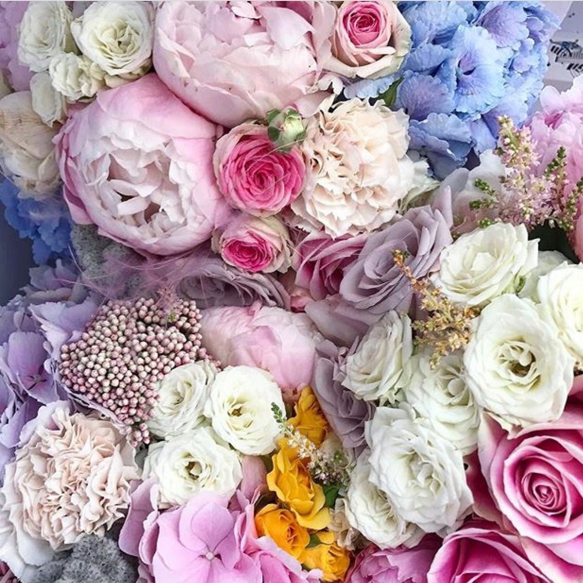 Цветы для инстаграма