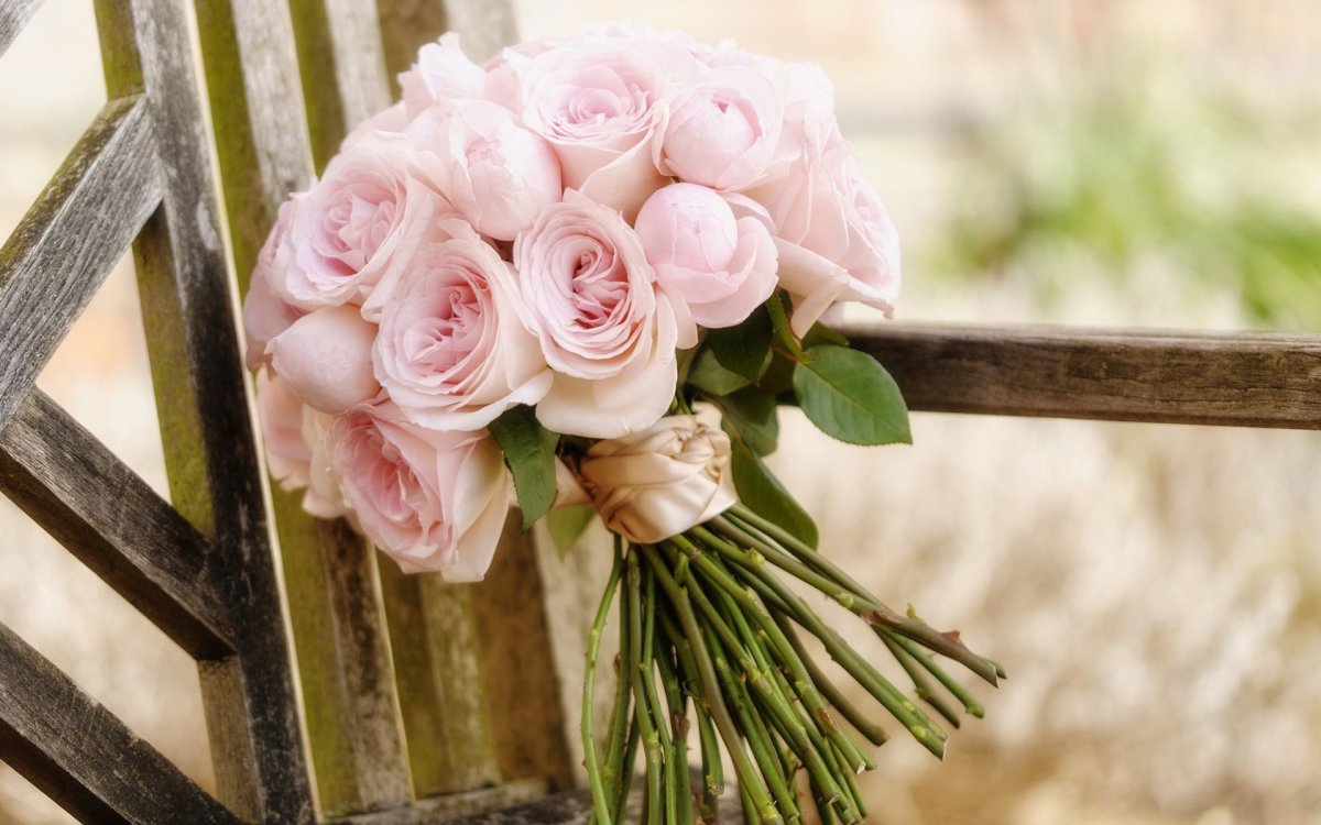 Цветы шикарные пастельные тона