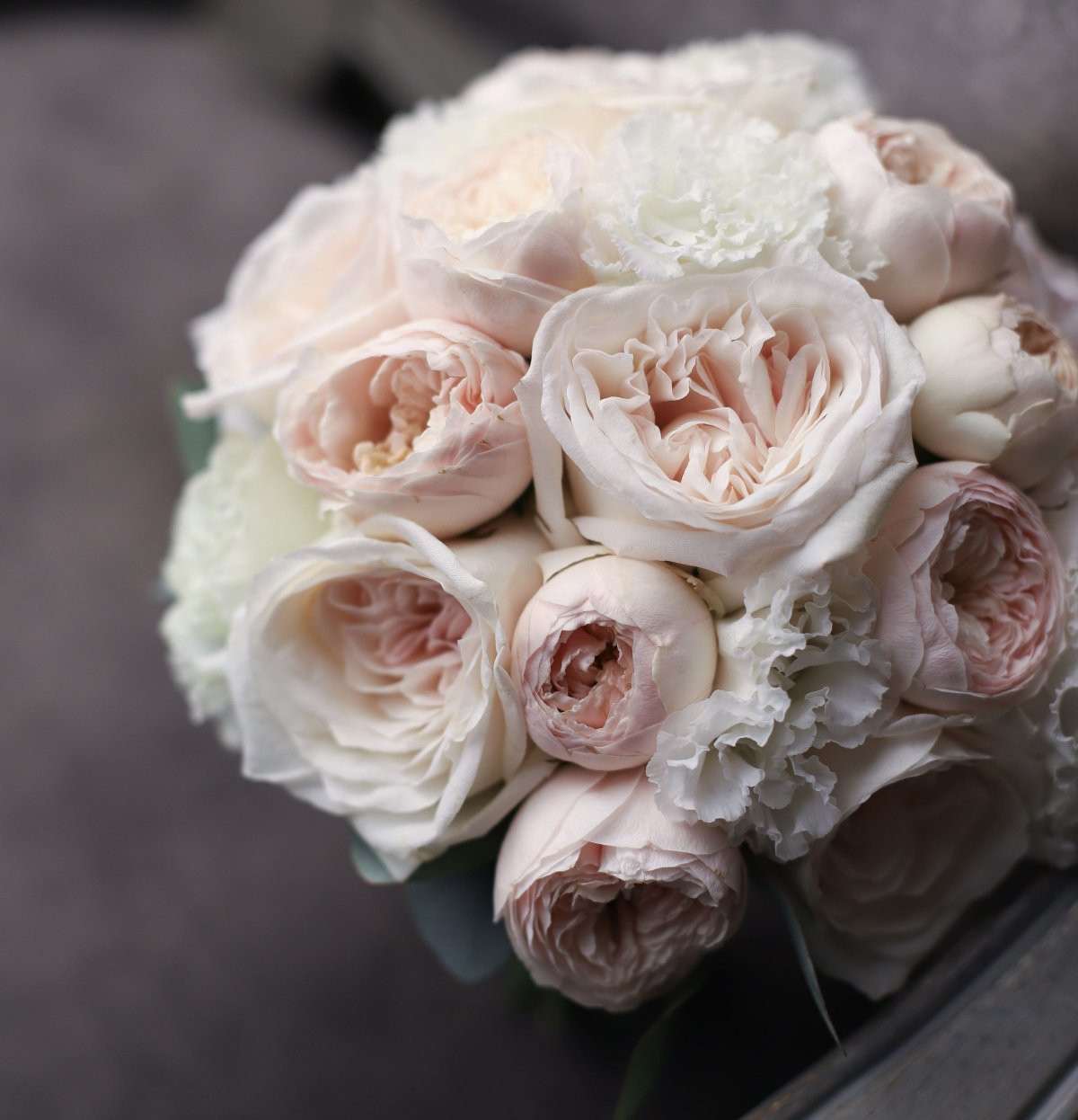 Пионовидные розы