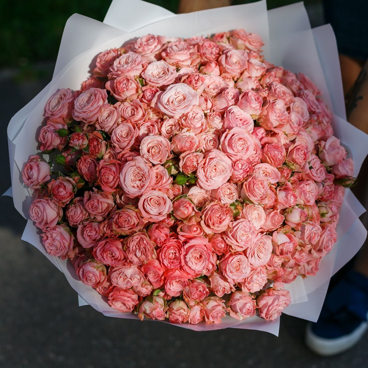 Кустовая пионовидная роза Бомбастик