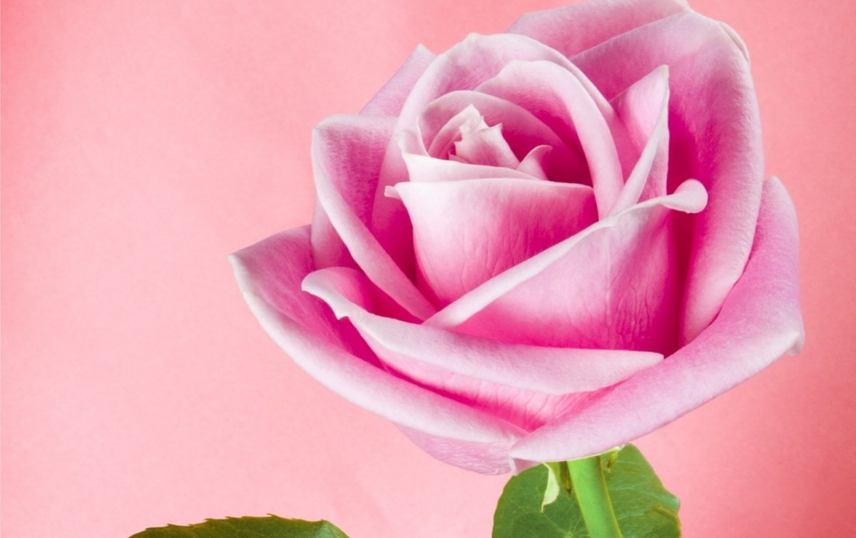 Красивые поздравления с днём