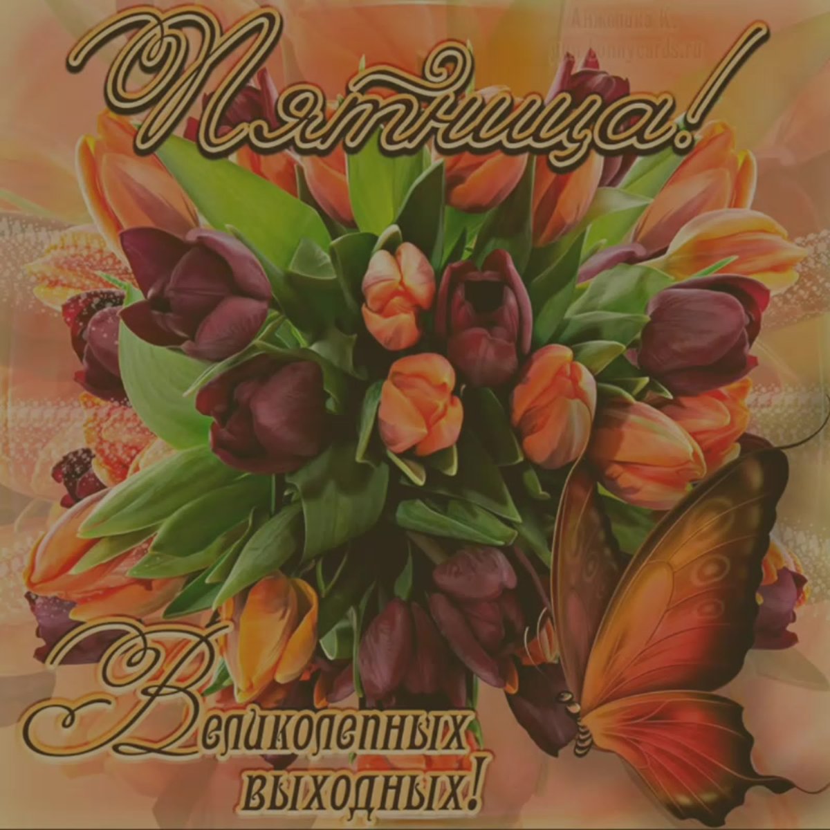 Сказочных выходных