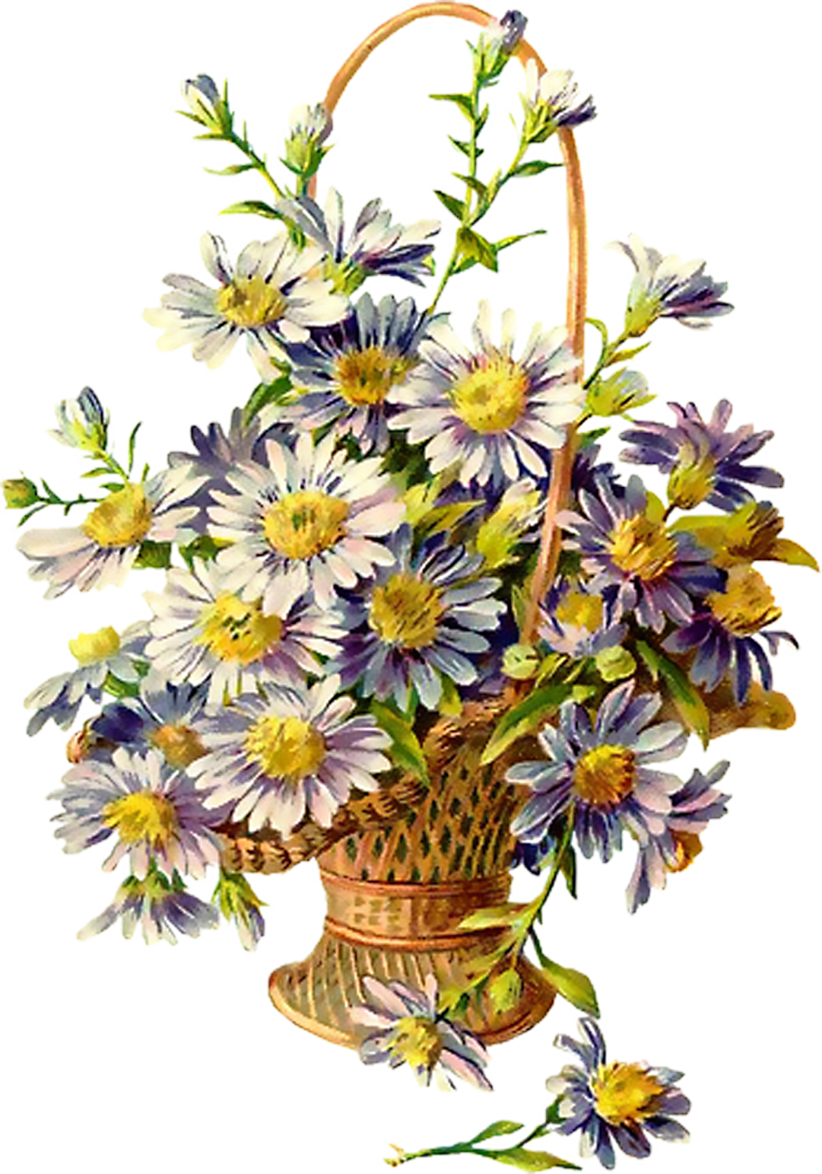 Букет из Лютиков и Васильков