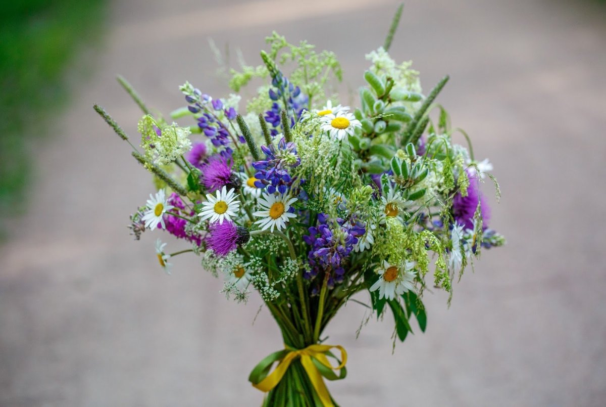 Ромашки лентами Натальи Разживаловой