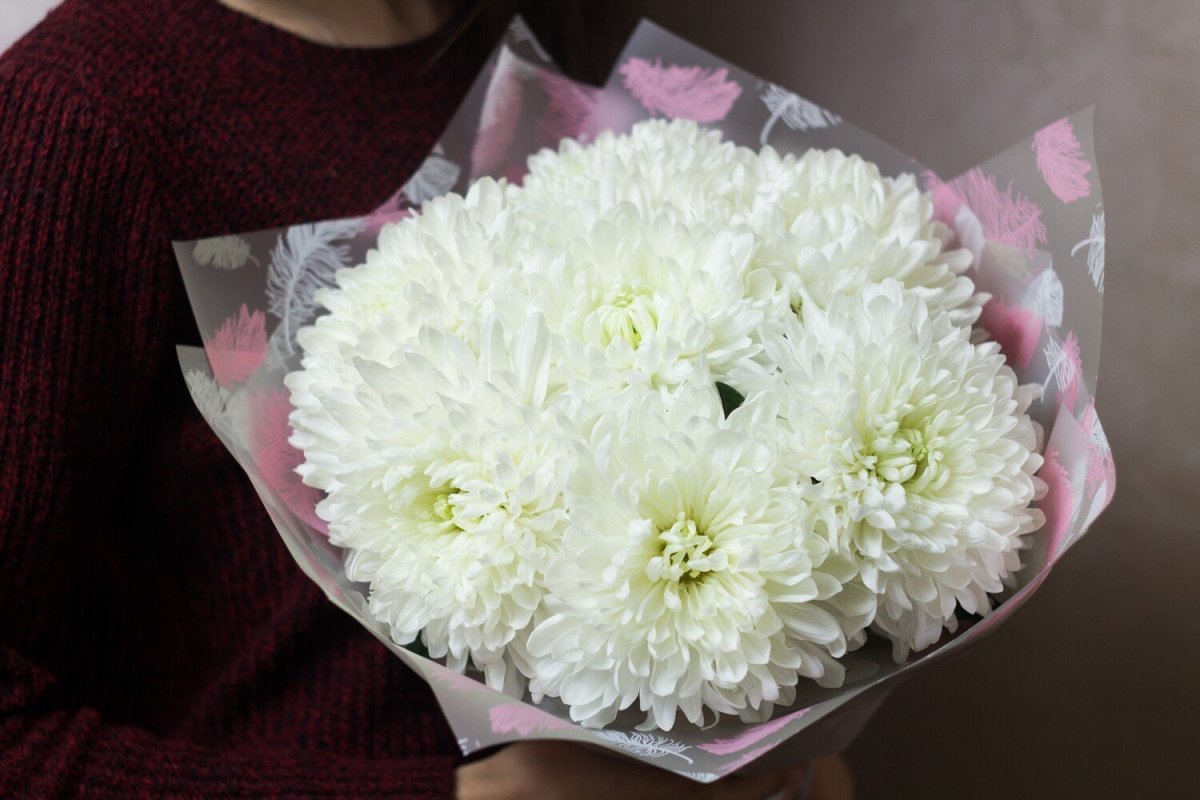 Букет Хризантема микс