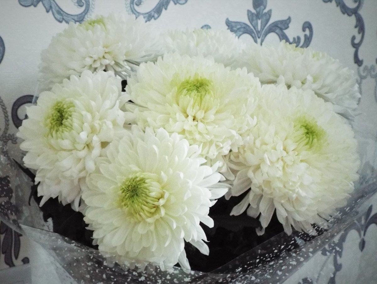 Букет "25 хризантем"