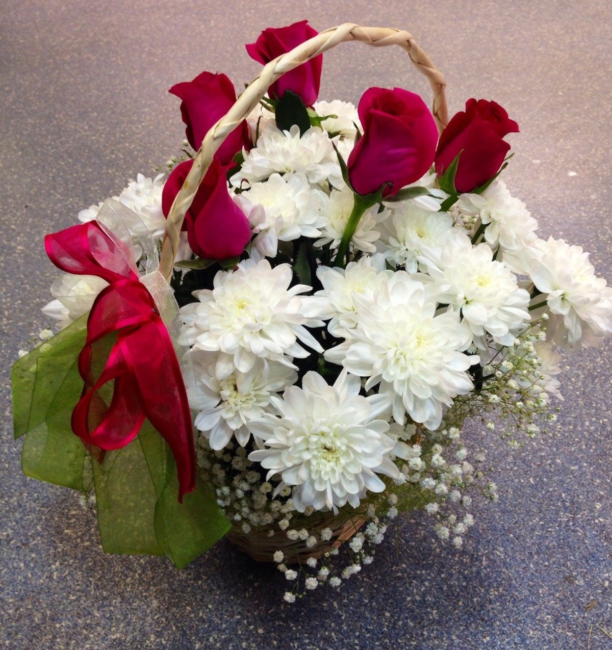 Хризантема кустовая Серенити