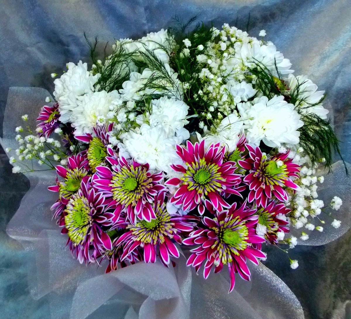 Хризантема кустовая Алтай белая