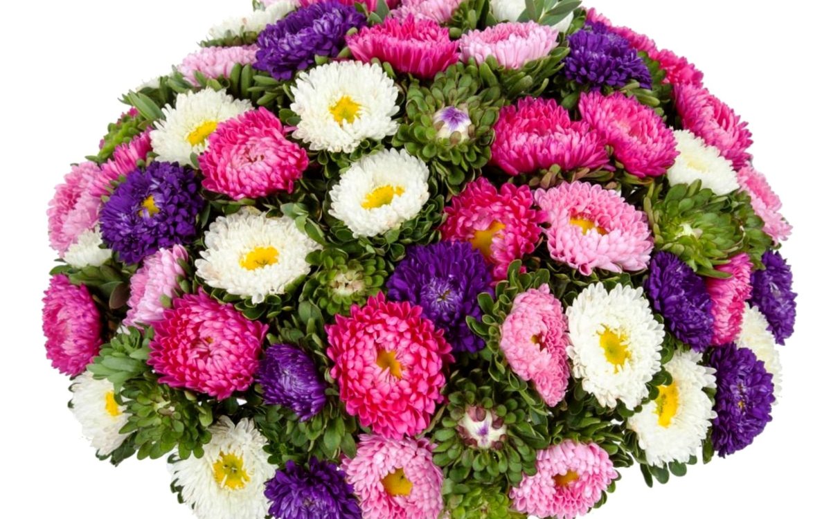 Букет 3 одноголовые хризантемы