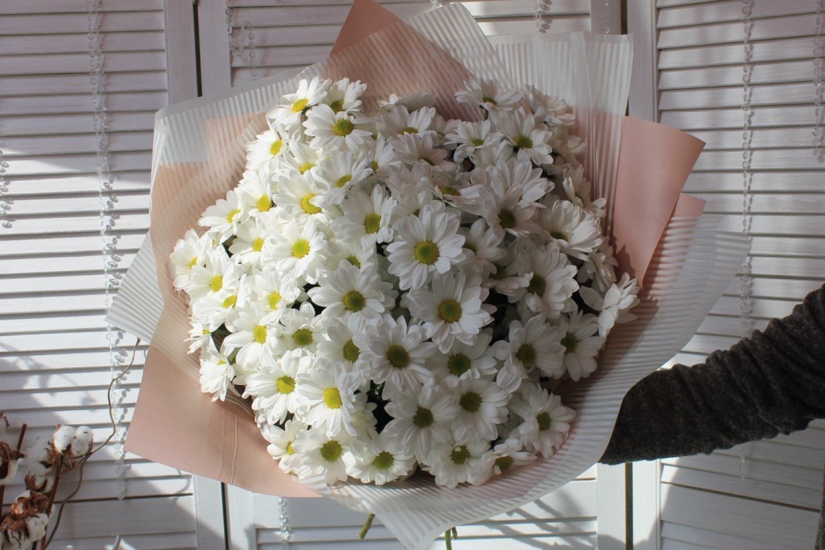 Хризантема кустовая корона желтая