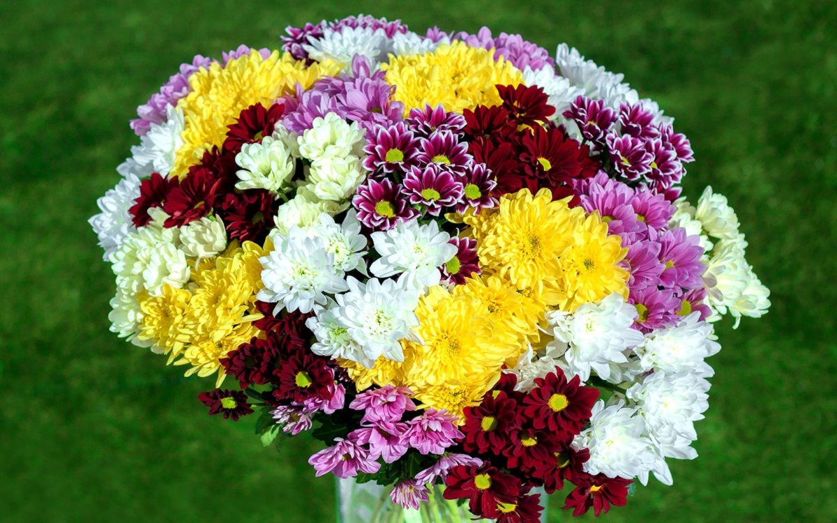 Букет хризантем в офисе