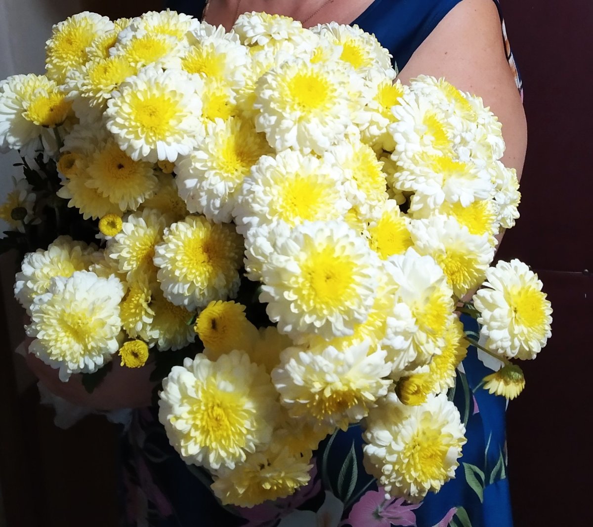 Хризантема одноголовая желтая букет