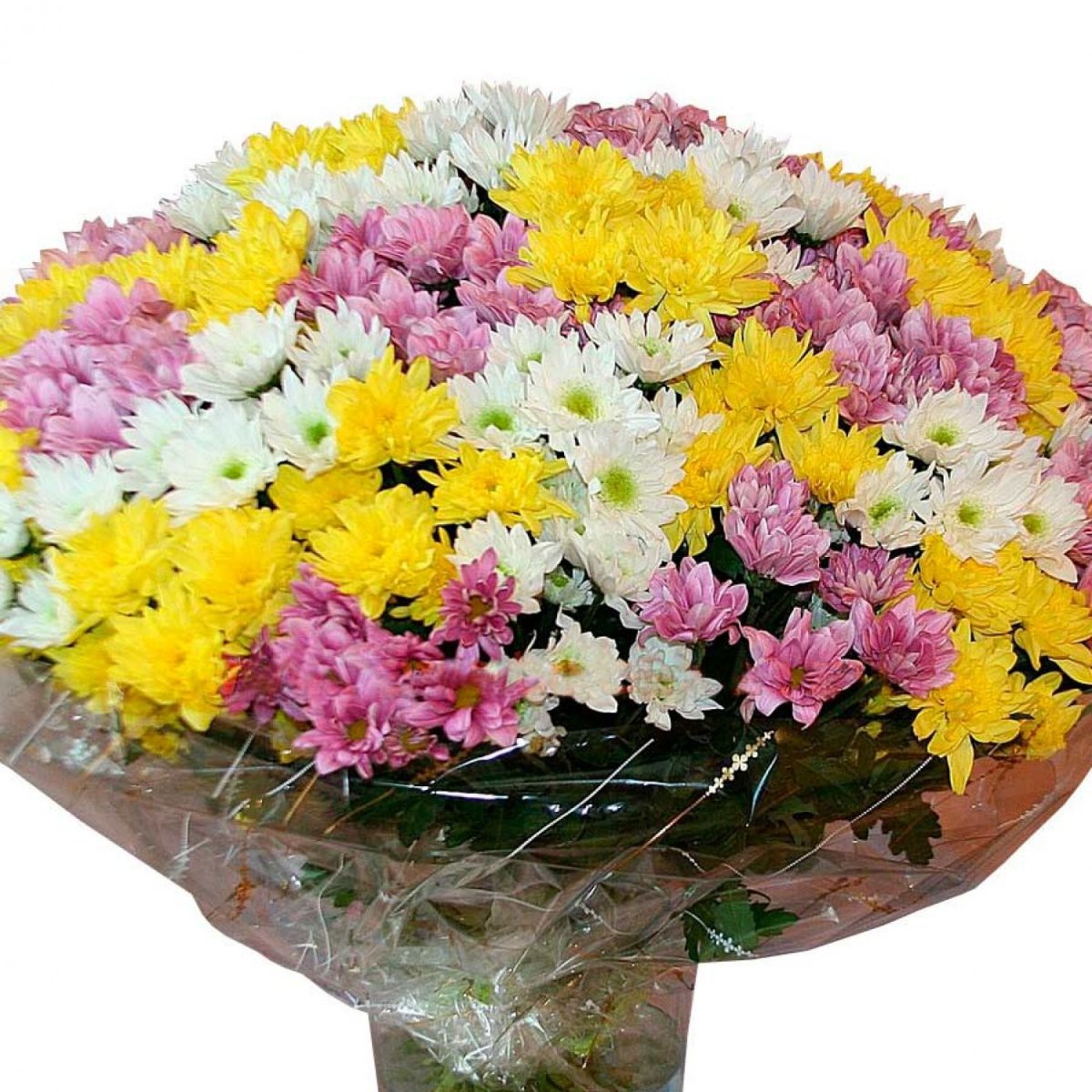 Букет Хризантема микс