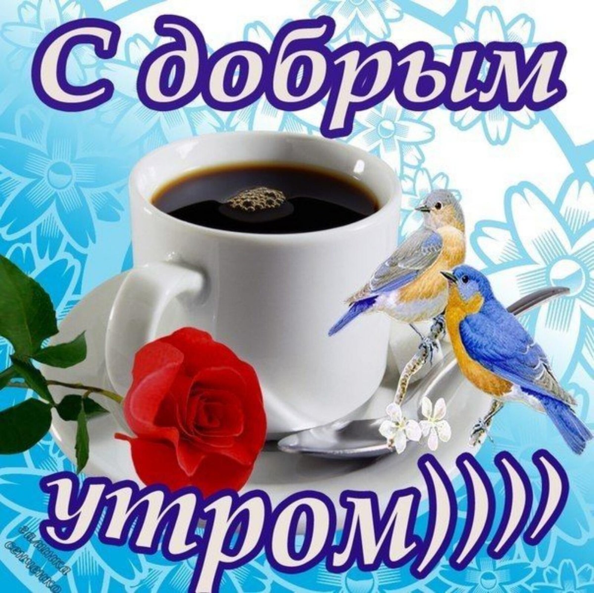 С добрым утром понедельника