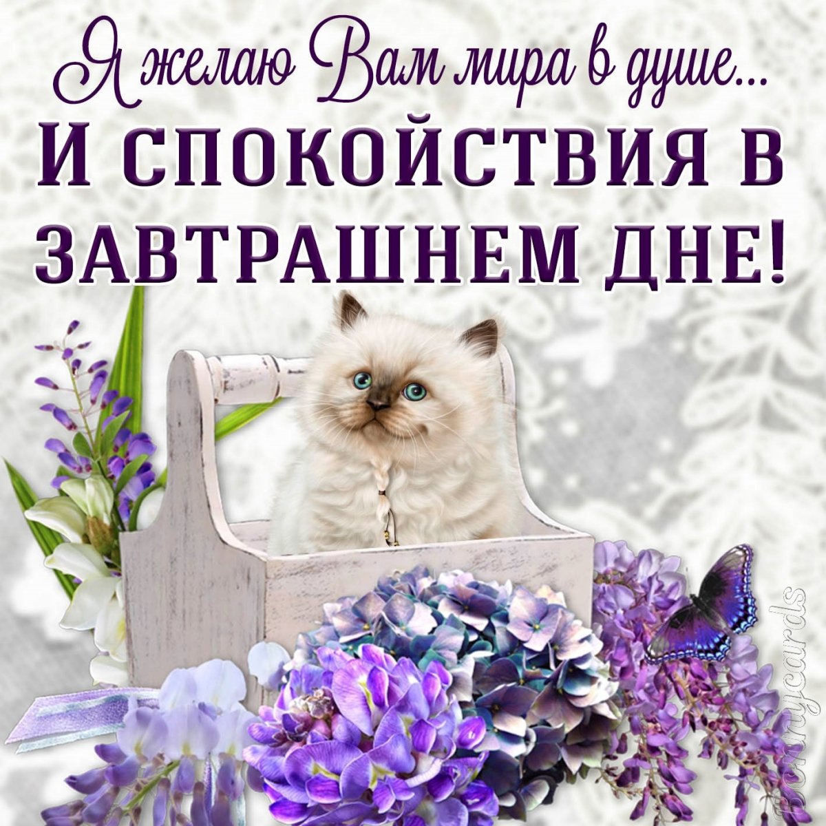 Красивые пожелания с добрым утром