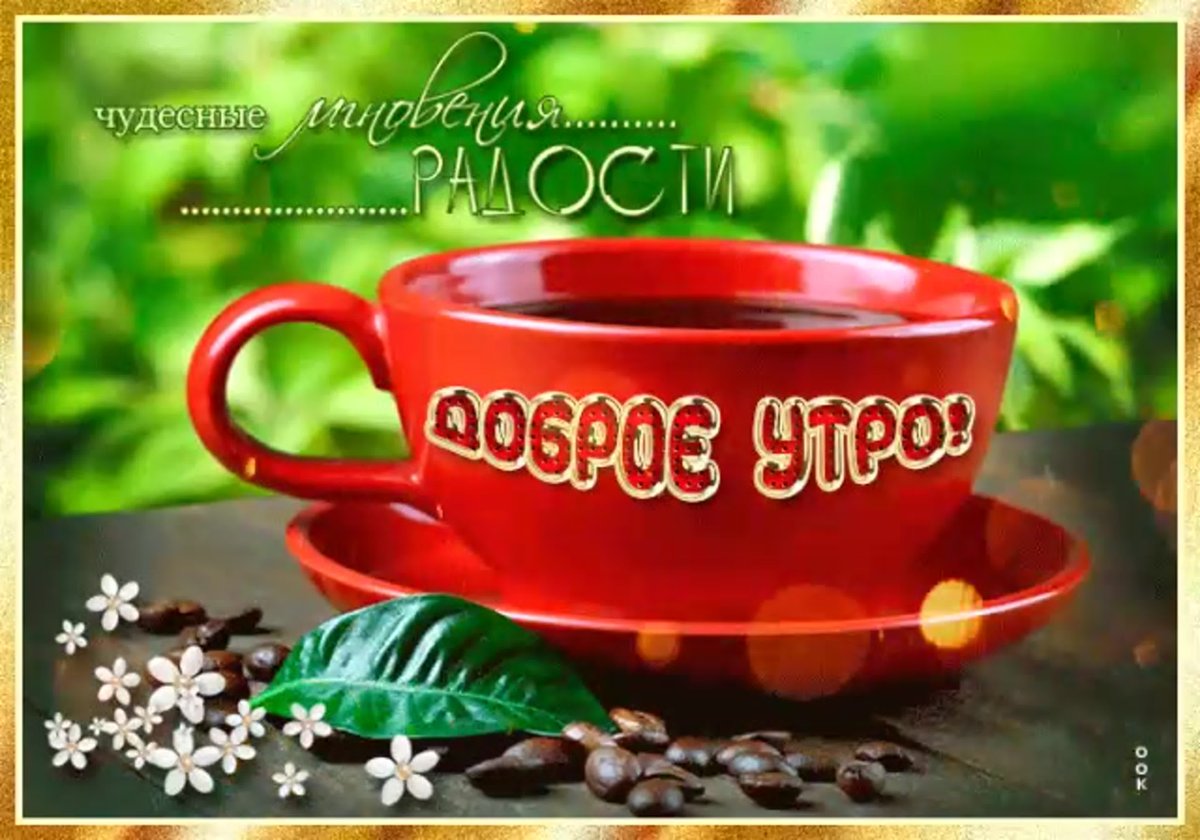 Открытки с добрым утром и хорошим днём четверга