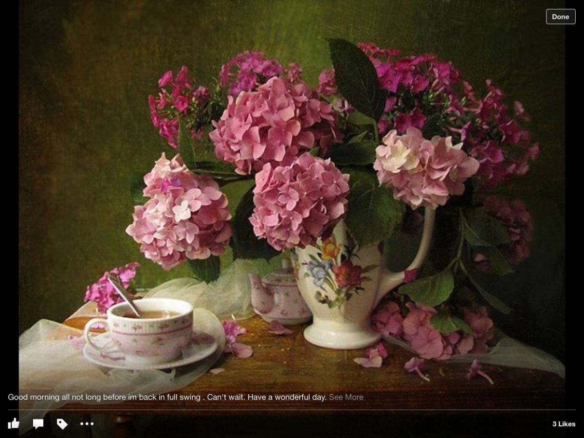 Гортензии в вазе натюрморт