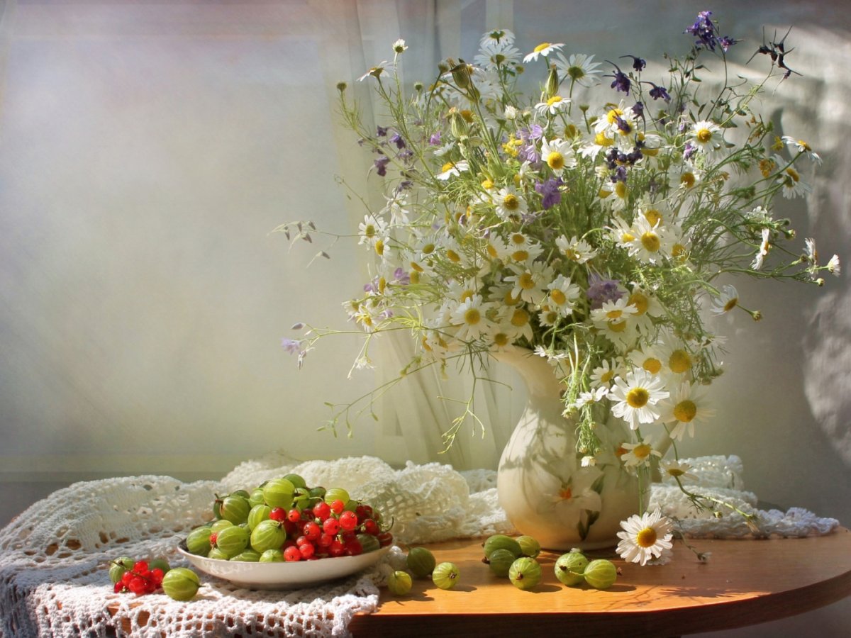 Луиза Гельтс натюрморты