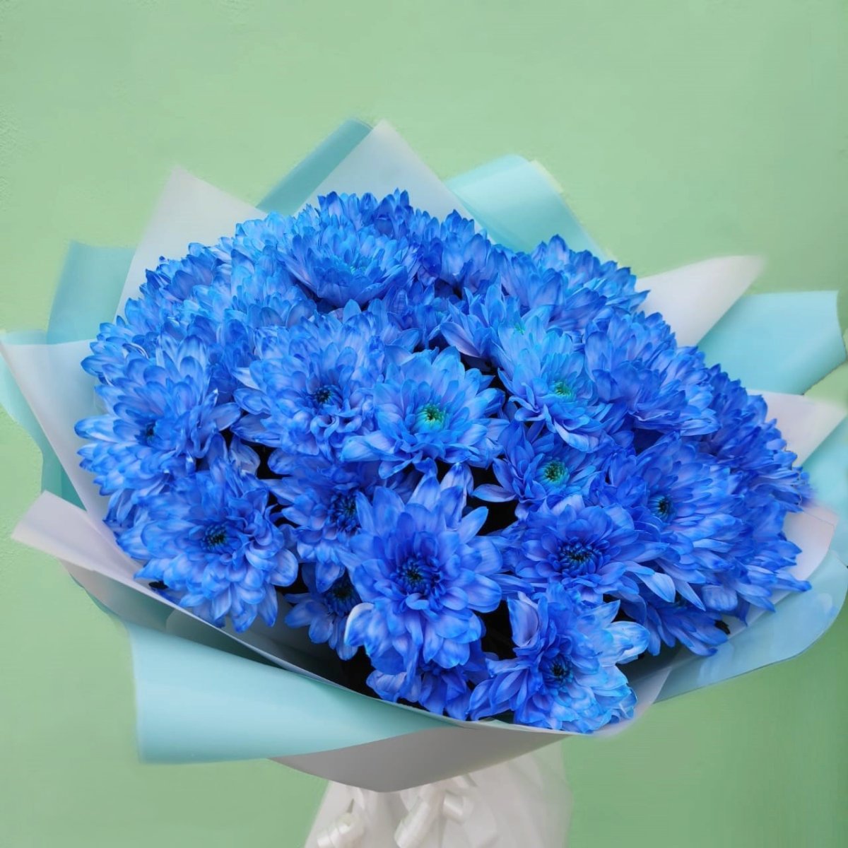 Букет голубых хризантем Флаверу