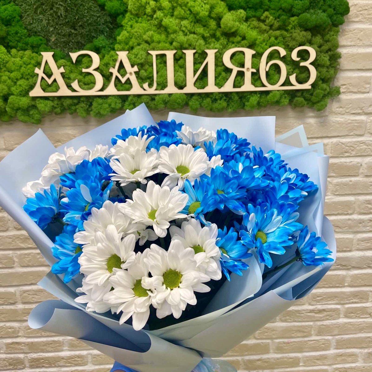 Синие хризантемы букет