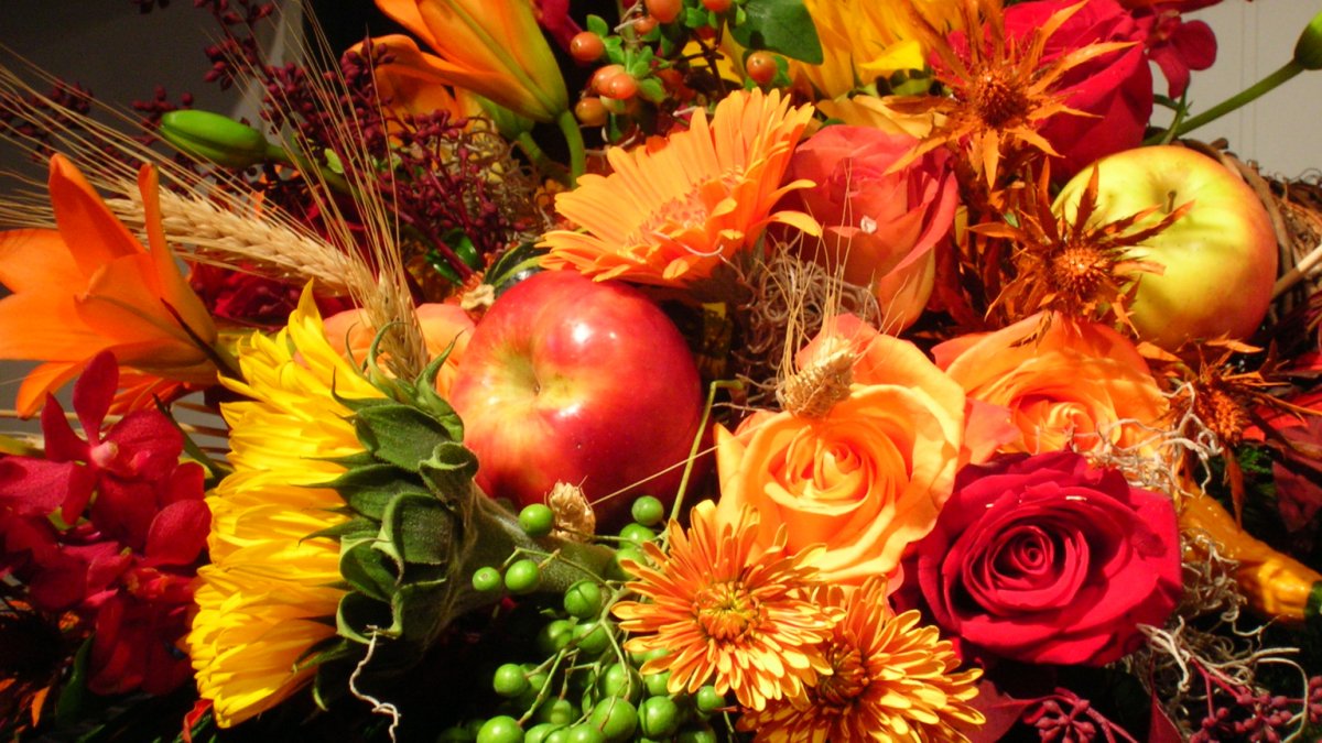 Яркие осенние цветы