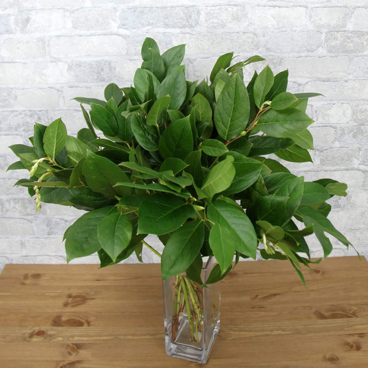 Рускус Салал