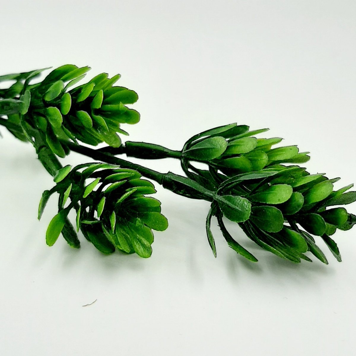 Писташ зелень для букетов