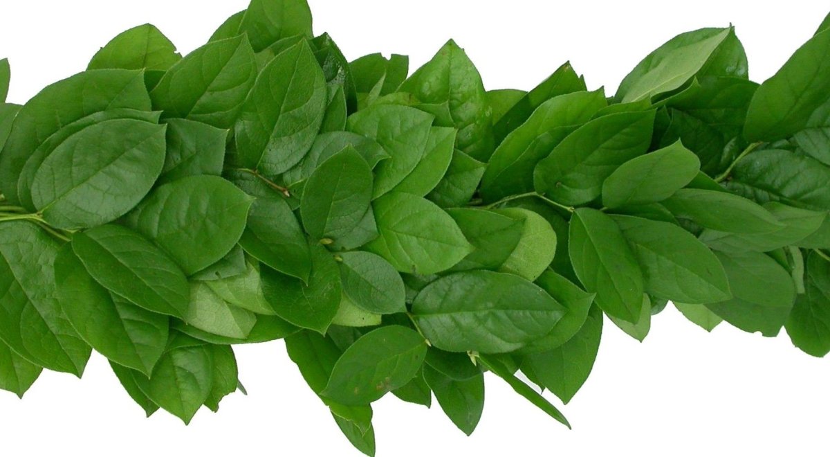 Салал Писташ