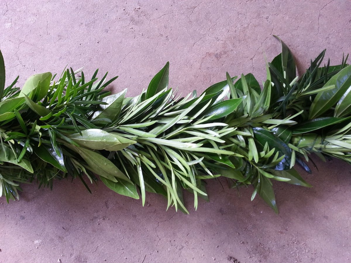 Рускус эвкалипт