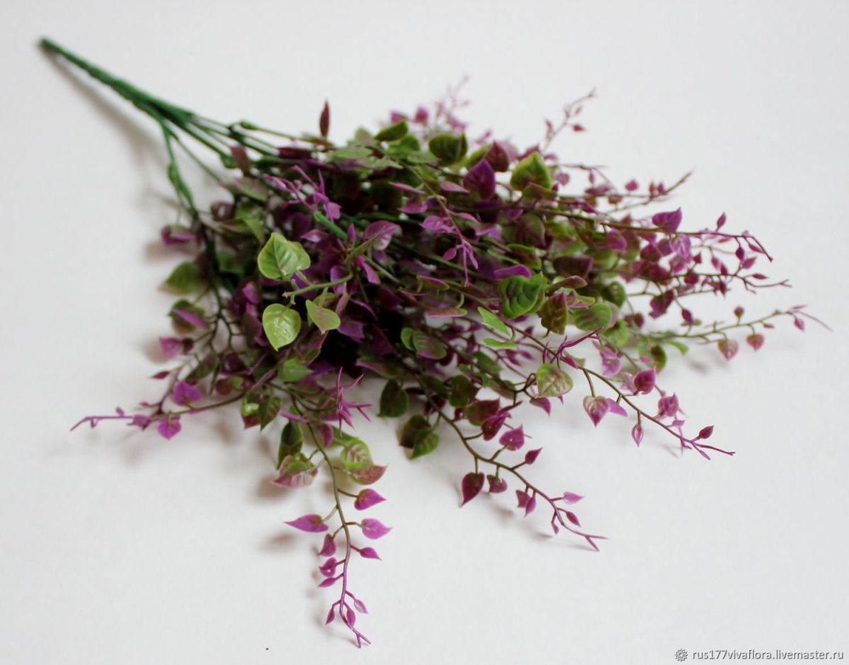 Зелень Чико флористика