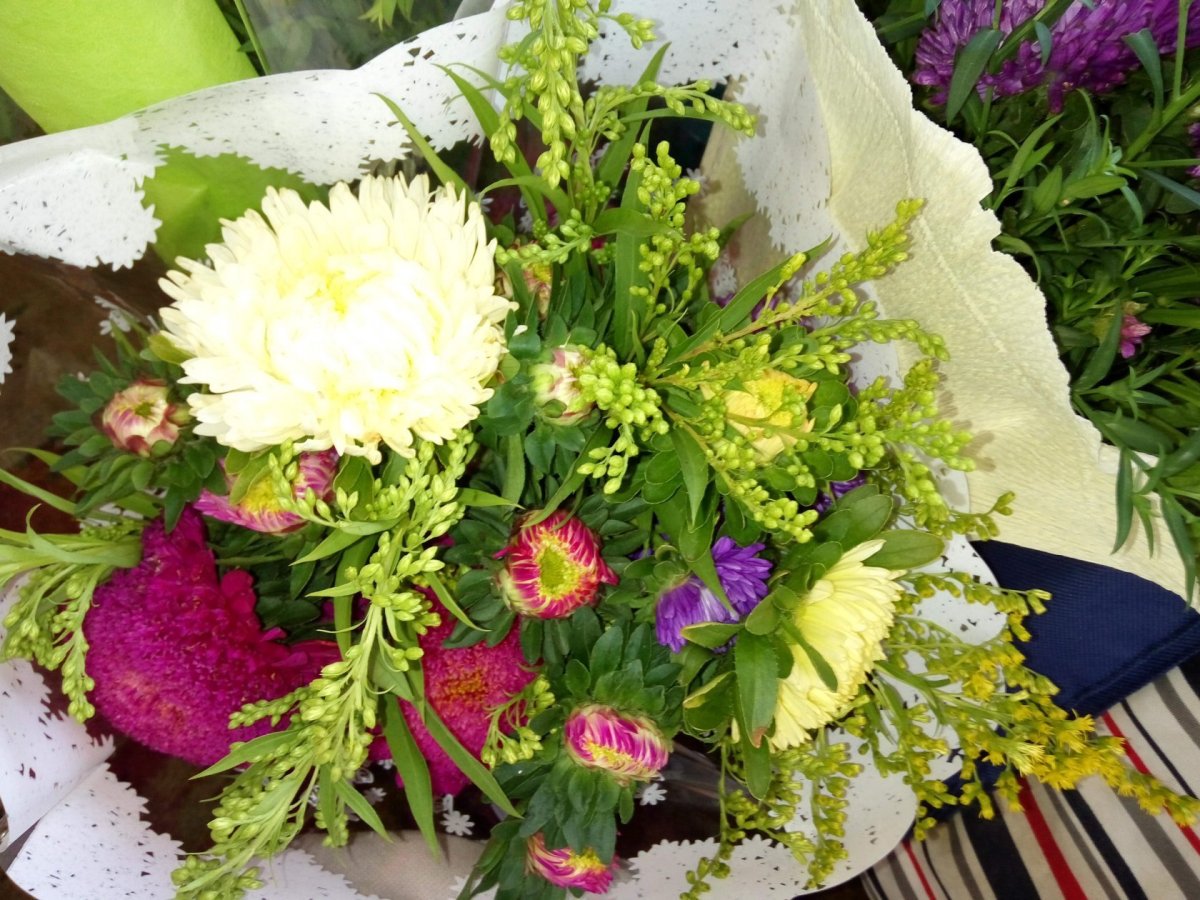 Гладиолус Астра Хризантема