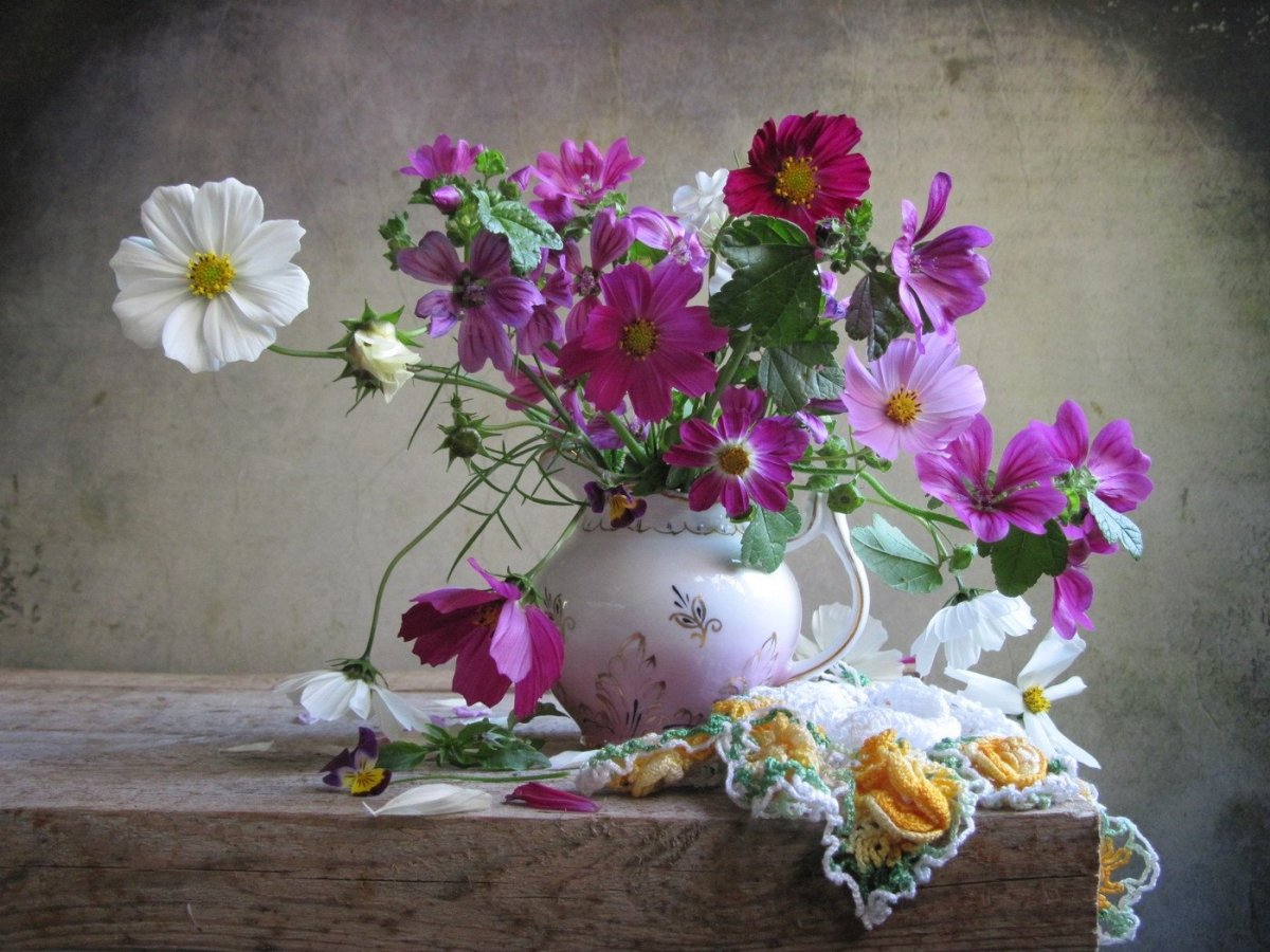 Космея Фотонатюрморты