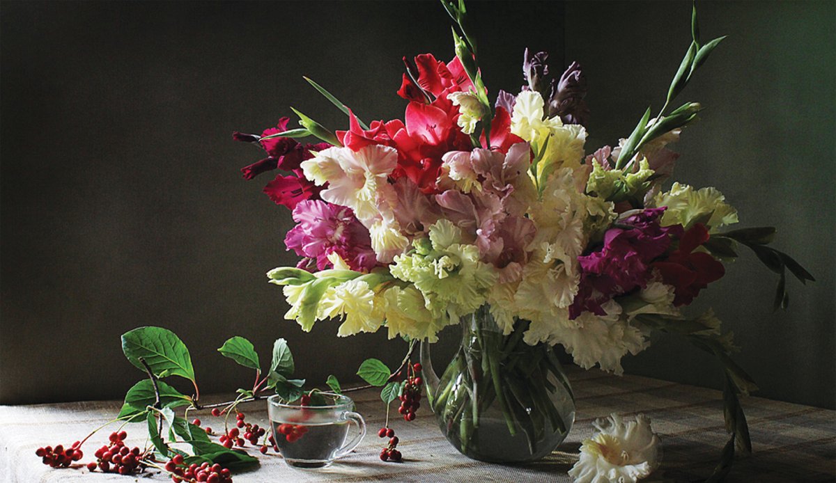 Фотонатюрморты с гладиолусами