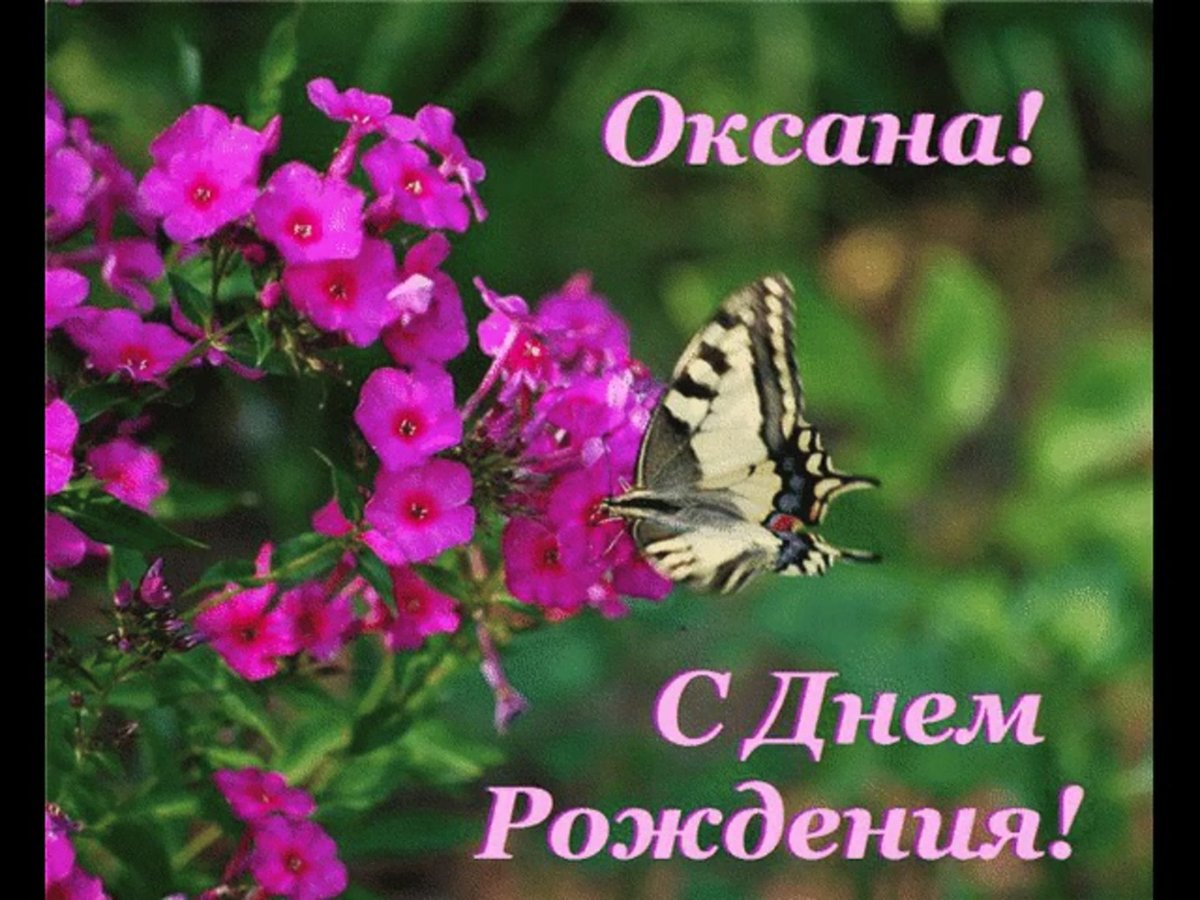 Умные поздравления с днем рождения женщине