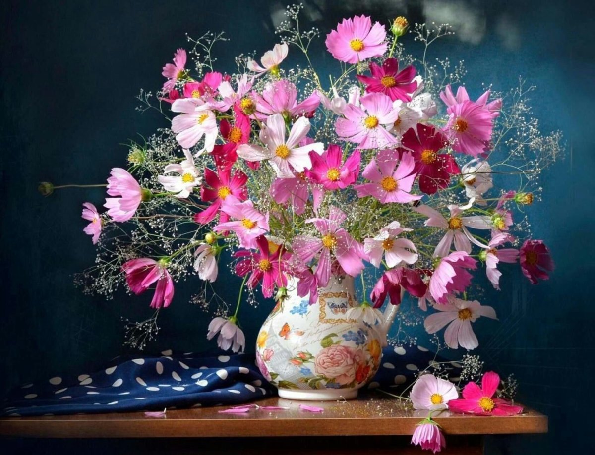 Палачев космея