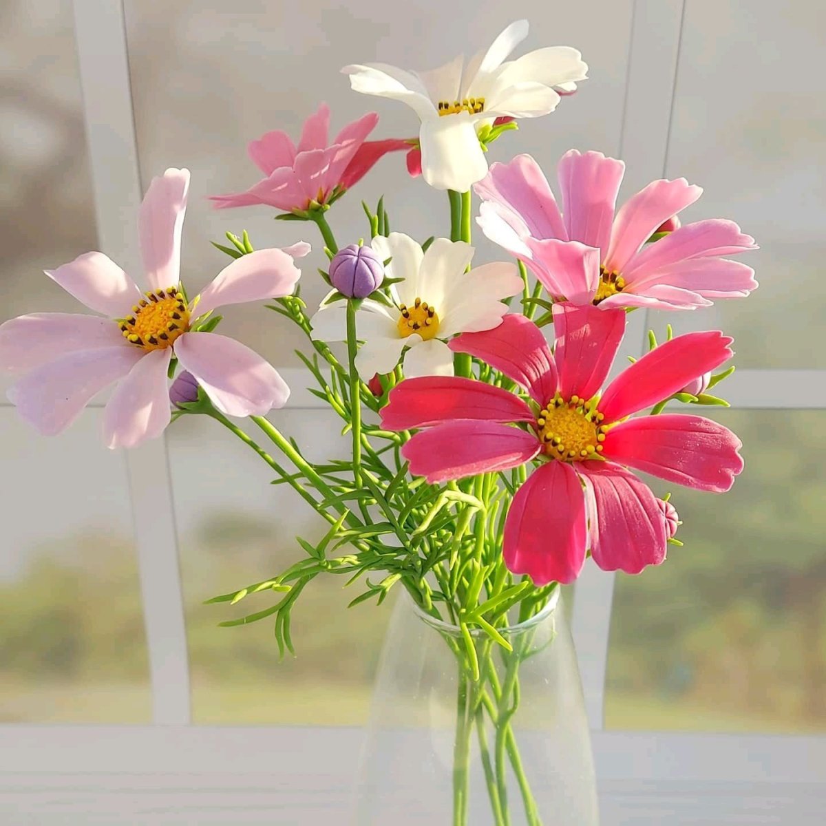 Цветы космея мандарин